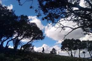 UN PASEO CONSCIENTE