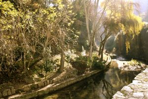 Yoga en Otoño, limpieza y renovación